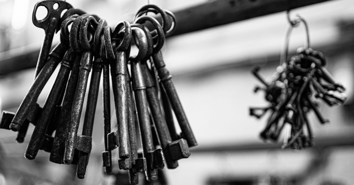 How Master Key Systems Work for Maplewood Businesses — Maplewood Locksmith